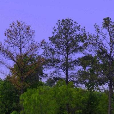 澳门新葡萄新京8883手机app下载